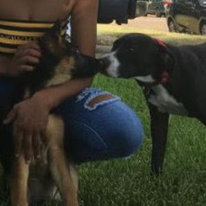 Meet your Posher, Emanuelle